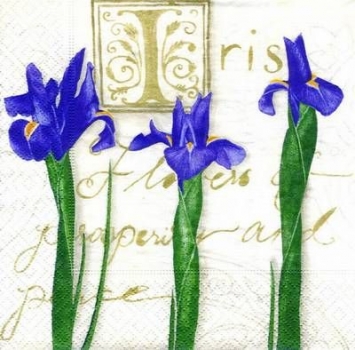 s4225 - Iris - Servietten - Packung - 20 Stück