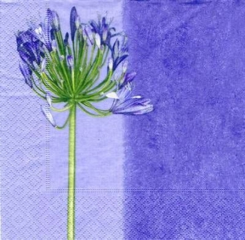 s4265 -  Jewelry Lily - Servietten - Packung - 20 Stück