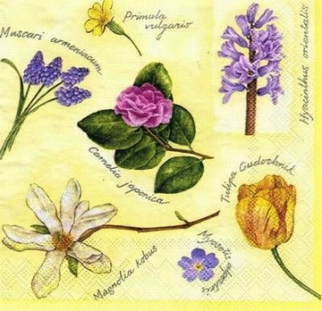 s4383 – Frühlingsblumen – Servietten – Packung – 20 Stück