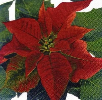 s4385 - Weihnachtsstern - Servietten - Packung - 20 Stück