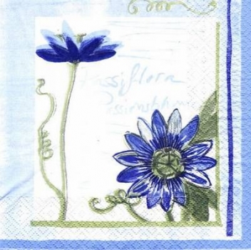 s4394 - Passionsblume - Servietten - Packung - 20 Stück