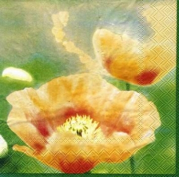 s4408 - Poppies - yellow - Servietten - Packung - 20 Stück