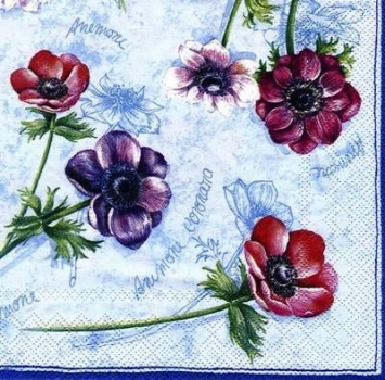 s4432 - Windflower - light blue - Servietten - Packung - 20 Stück