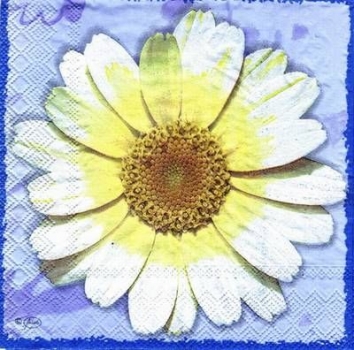 s4484 – Blume – Packung – 20 Stück