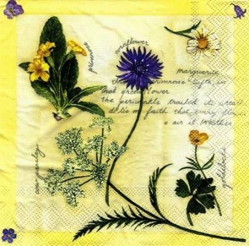 s4497 -  Field Flowers - yellow - Servietten - Packung - 20 Stück