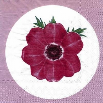 s4559 - Anemone - MOLCA - Servietten - Packung - 20 Stück