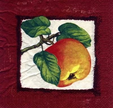 s4586 - Apfel - Servietten - Packung - 20 Stück