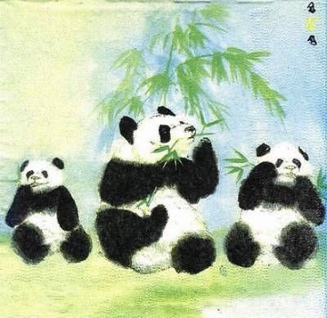 s4906 - Panda - Servietten - Packung - 30 Stück