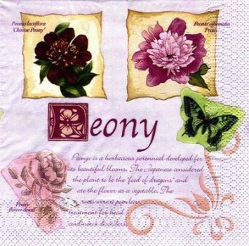 s4985 - Blossoms - AUSTRALIEN - Servietten - Packung - 20 Stück
