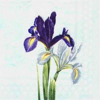 s4994 - Iris - Servietten - Packung - 20 Stück