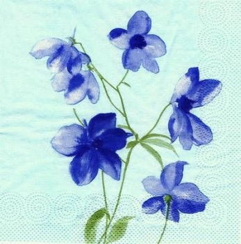 s4x0257 - Simply - blaue Blüten - Servietten - Packung - 20 Stück