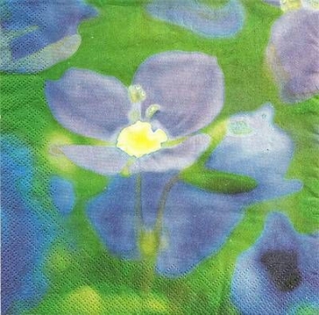 s4x1087 - Harmony in Blau - Servietten - Packung - 20 Stück