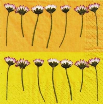 s4x1320 - Gänseblümchen - Servietten - Packung - 20 Stück