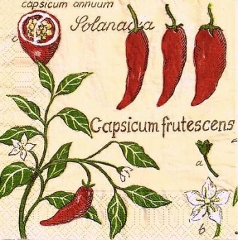 s4xx0400 - Chilli - Servietten - Packung - 20 Stück