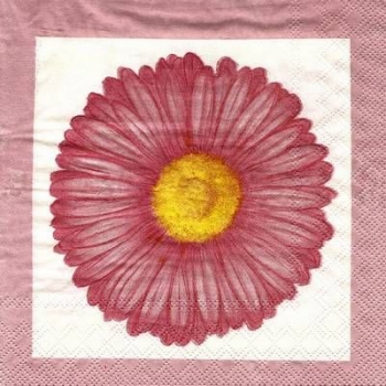 s4xx2286 - Gerbera rosa - RARITÄT von MOLCA - Servietten Packung - 20 Stück