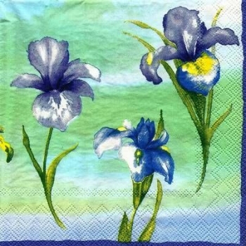 s4xx2289 - Iris - Servietten - Packung - 20 Stück