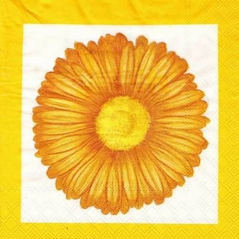 s4xx2297 - Gerbera gelb - MOLCA - Servietten - Packung - 20 Stück