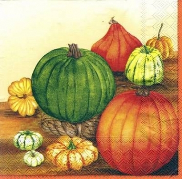 s5075 - Courge - creme - Servietten - Packung - 20 Stück