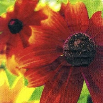 s5091 - große Blüten - Servietten - Packung - 20 Stück