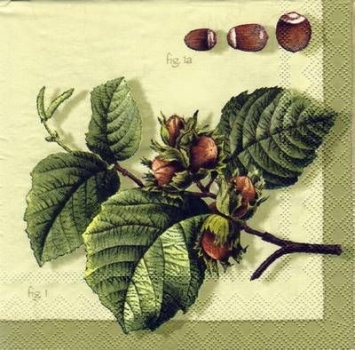 s5131 - Hazel Nuts - green - Servietten - Packung - 20 Stück
