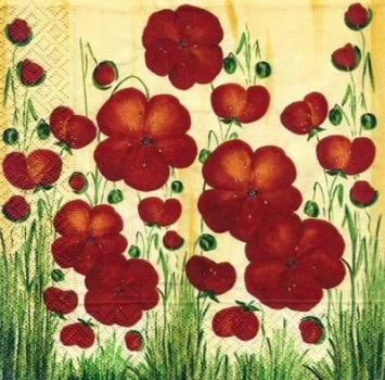 s5229 - field os poppies - Servietten - Packung - 20 Stück