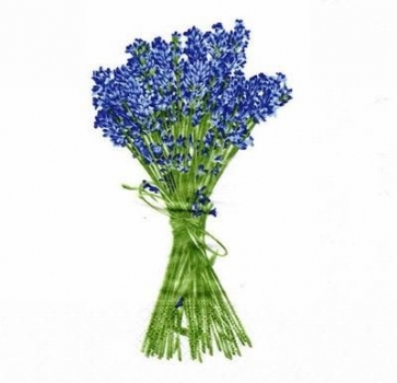 s5281 - Lavendel - Servietten - Packung - 20 Stück