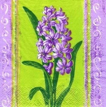 s5305 - Hyacinthus - violett - Servietten - Packung - 20 Stück