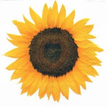 s5309 - Sonnenblumen - Servietten - Packung - 20 Stück