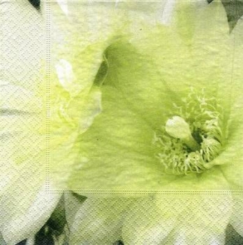 s5310 - white dream - Servietten - Packung - 20 Stück