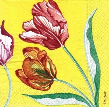 s5321- Tulpe - Servietten - Packung - 15 Stück
