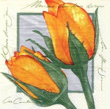 s5337 - Nearly in Love - creme-orange - Servietten - Packung - 20 Stück