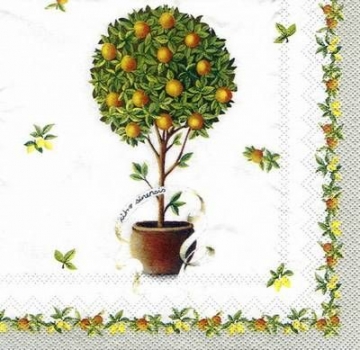 s5376 – Orangenbäumchen – Servietten – Packung – 20 Stück