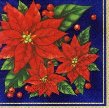 s5423 - Poinsettia - dark blue - Servietten - Packung - 20 Stück