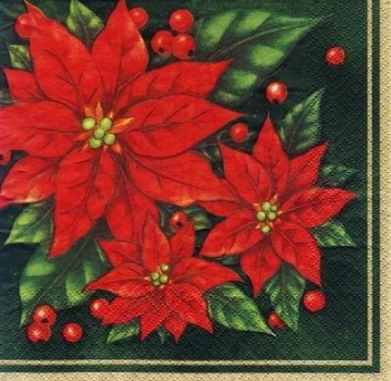 s5424 - Poinsettia - green - Servietten - Packung - 20 Stück