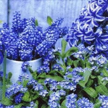 s5434 - Blue Dream - Servietten - Packung - 20 Stück