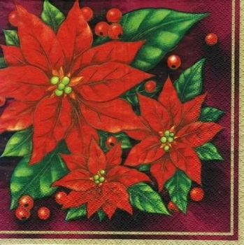 s5495 - Poinsettia- red - Servietten - Packung - 20 Stück