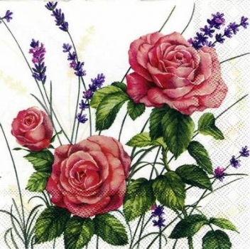 s5761 - Lavender Roses - creme - Servietten von AMBIENTE - Packung - 20 Stück