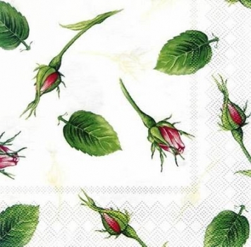 s5778 - Rose Bud - creme - Servietten - Packung - 20 Stück