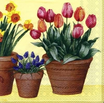 s5780 - Spring Flowers  yellow - Servietten - Packung - 20 Stück