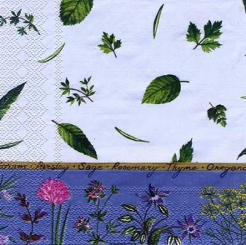 s5784 - Herb Season - blue - Servietten - Packung - 20 Stück