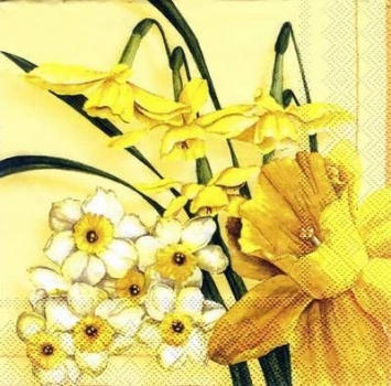 s5787 - Daffodils - Yellow - Servietten - Packung - 20 Stück