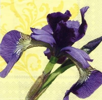s5807 – Blume – Blüte – Servietten – Packung – 20 Stück