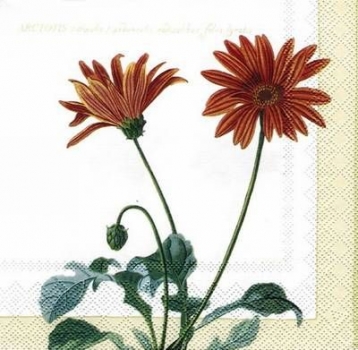 s5827 – Blumen – Servietten – Packung – 20 Stück