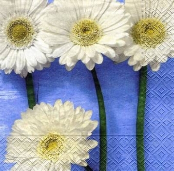 s5858 – Blumen – Servietten – Packung – 20 Stück