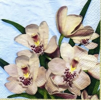 s5906 – Blumen – Servietten – Packung – 20 Stück
