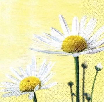 s5933 - Fresh Daisies - yellow - Servietten - Packung - 20 Stück.