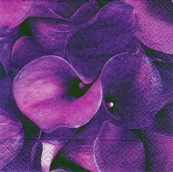s5985 – Blumen - Blüten – Servietten – Packung – 20 Stück
