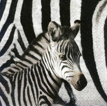 s6061 - Zebra - Servietten - Packung - 20 Stück