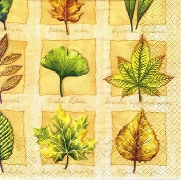 s6173 – Herbstlaub – Servietten – Packung – 20 Stück