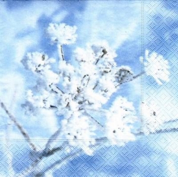 s6189 - Frozen Branch - Servietten - Packung - 20 Stück
